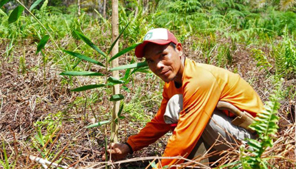 Veenland project Indonesië