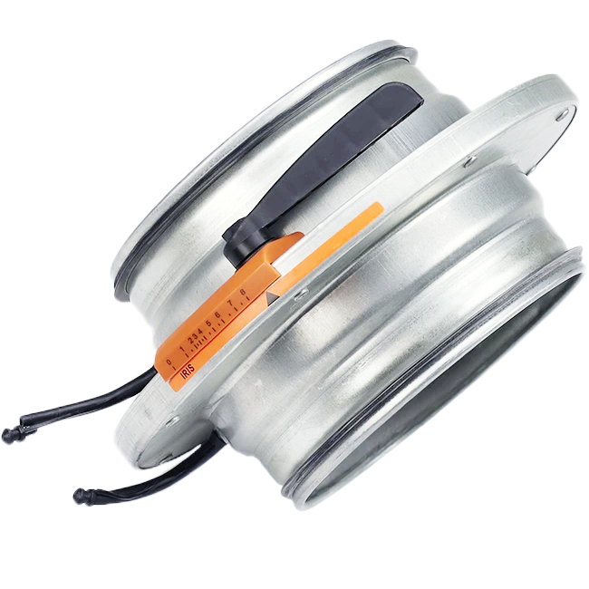Irisklep 250 mm - RVS 316L  - IRIS250