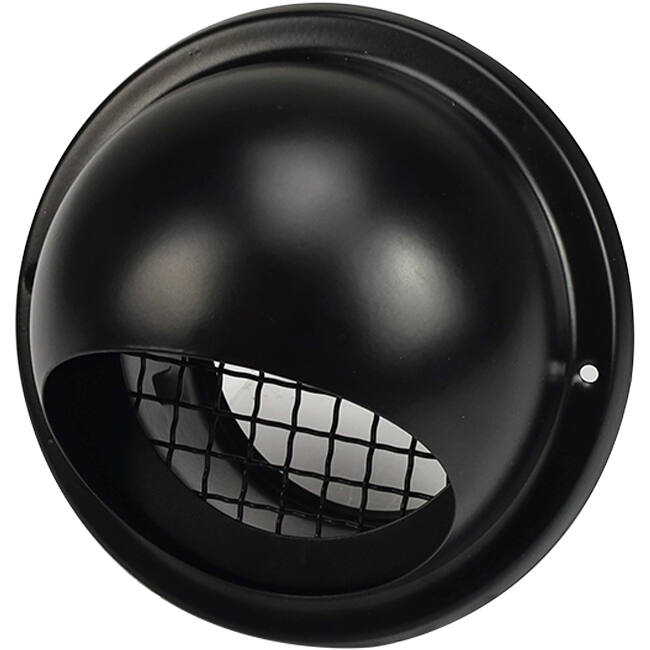 RVS bolrooster 100mm geveldoorvoer - EL-SS-B100 SS RAL9005